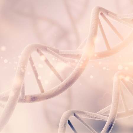 Imagen de servicio de de test de epigen&eacute;tica